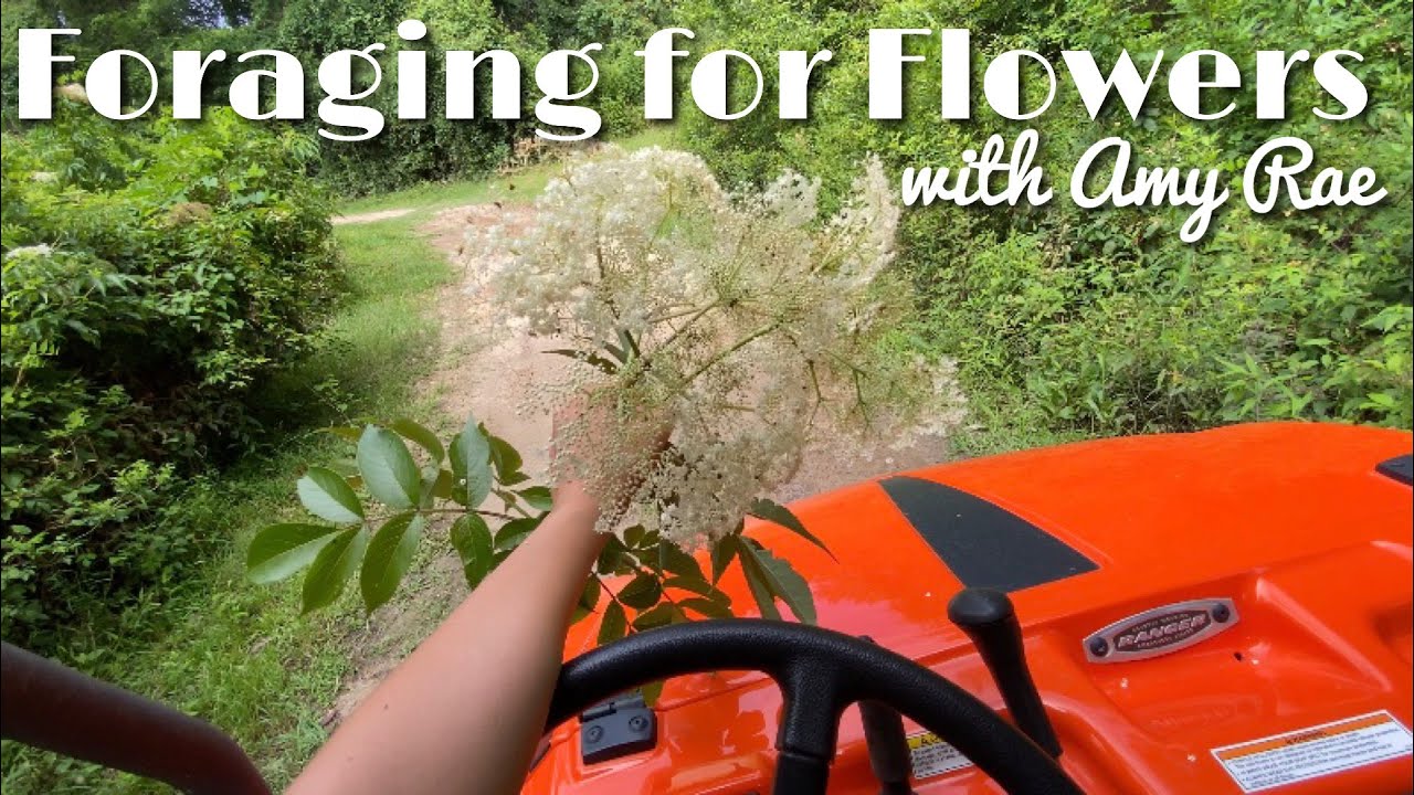 Making a Wildflower Arrangement from Foraged Flowers!