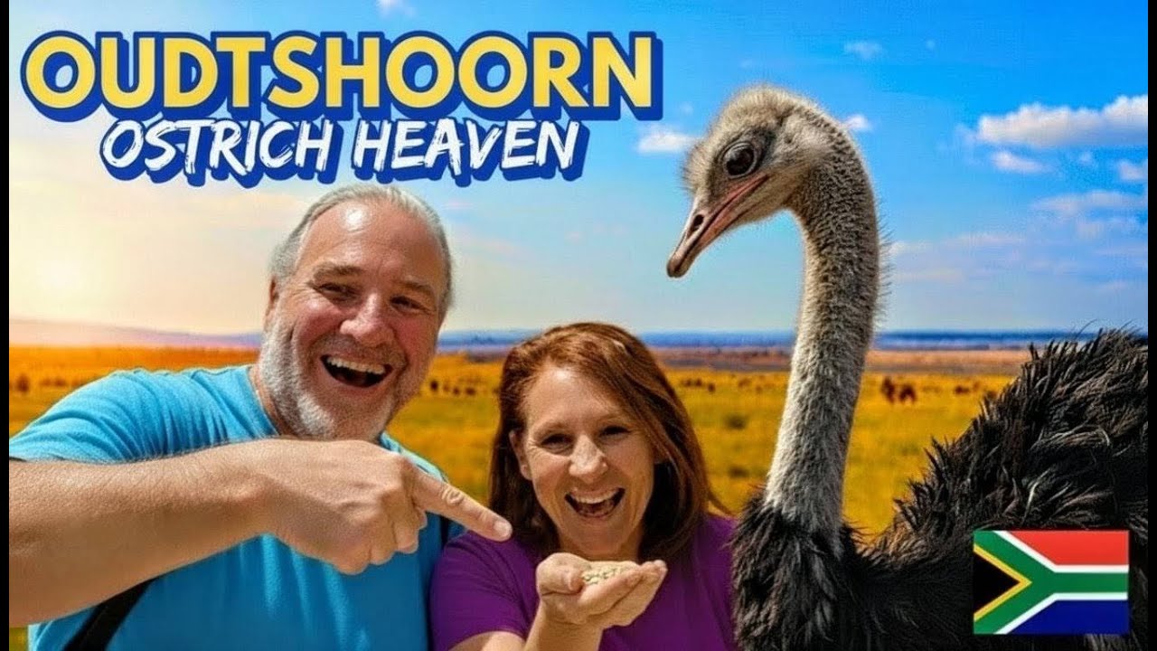 Why Oudtshoorn is South Africa's Ultimate Desert Adventure!