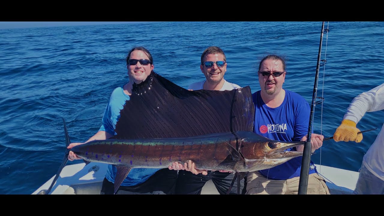 Guatemala deep sea fishing - sailfish, dolphinfish