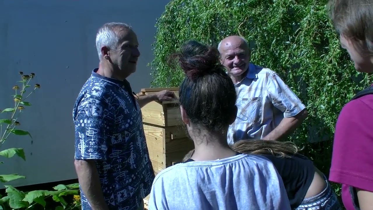 Petr Koc Včelky Jednoduše 2.Díl