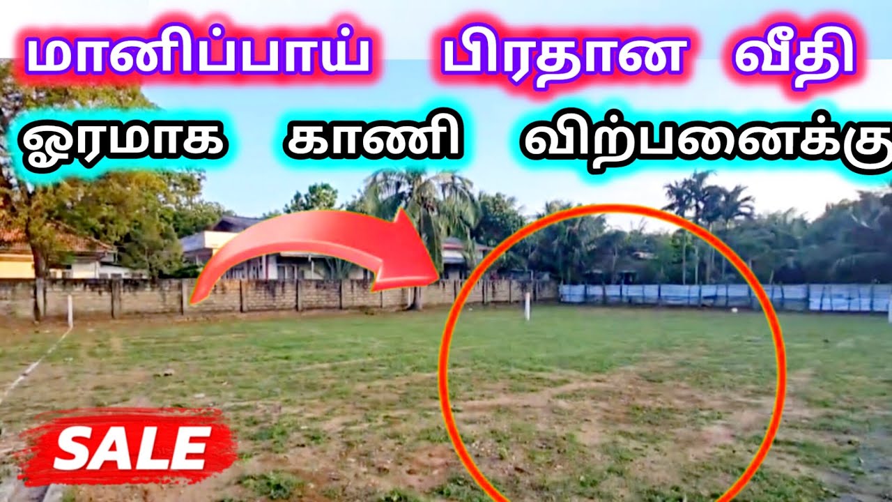 🛑 காணி உடனடி  விற்பனைக்கு | Land For Sale In jaffna #trending #viral #tamilvlog #srilanka