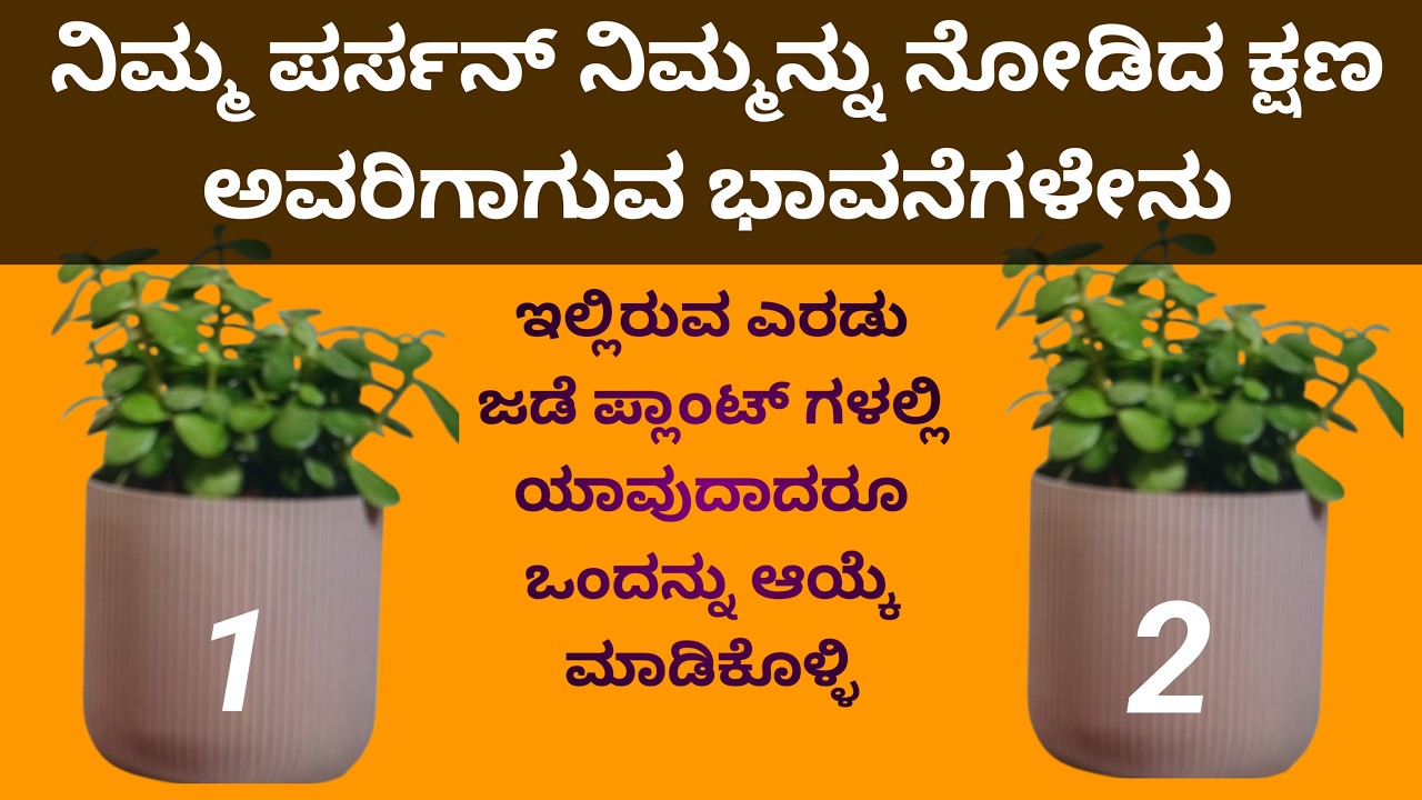 ll 💕 ಅವರು ನಿಮ್ಮನ್ನು  ನೋಡಿದಾಕ್ಷಣ ಆಗುವ ಭಾವನೆಗಳ ಬಗ್ಗೆ 💕ll Pick A Card ll