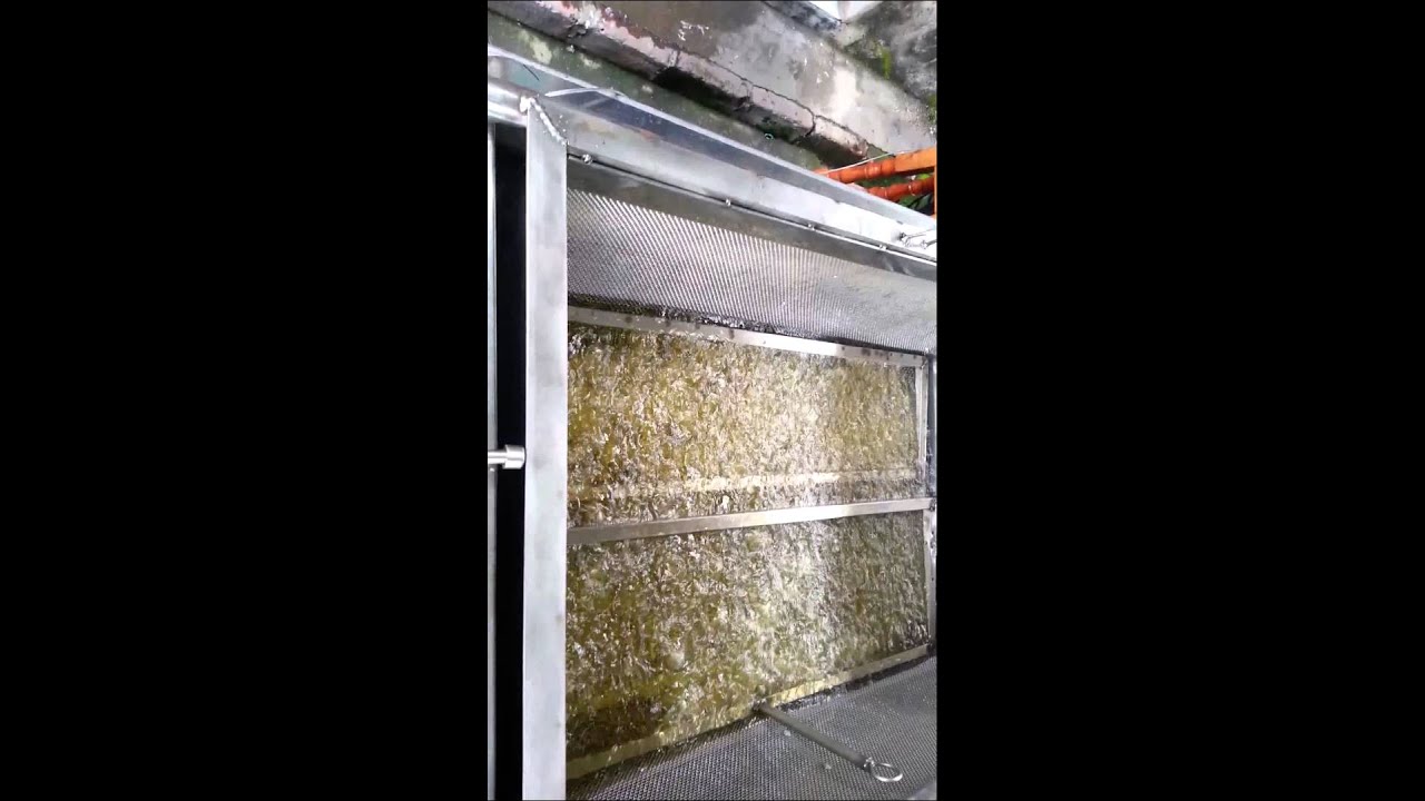 Freidor para pellet de cerdo y  de arina