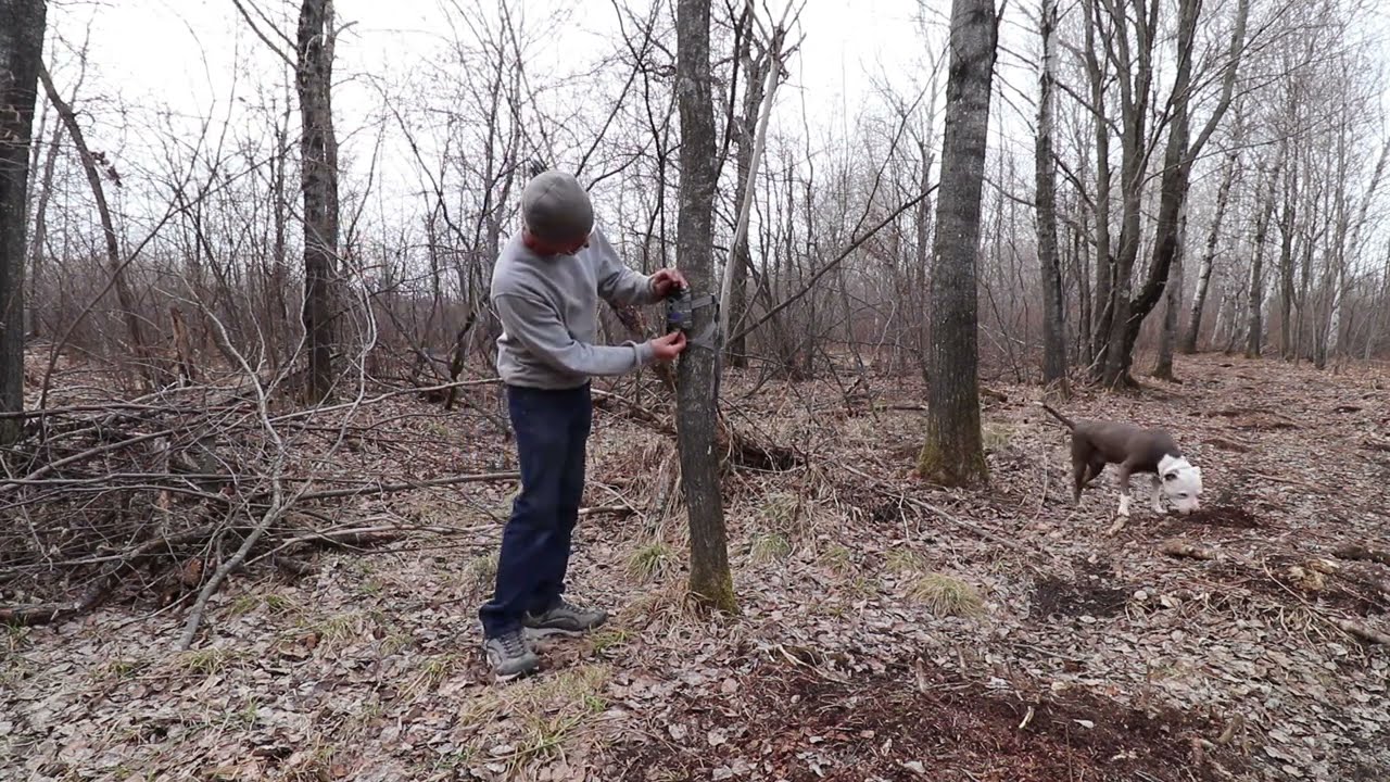 MAKING MAPLE SYRUP. What did I learn? What will I change next year? Next years expansion.