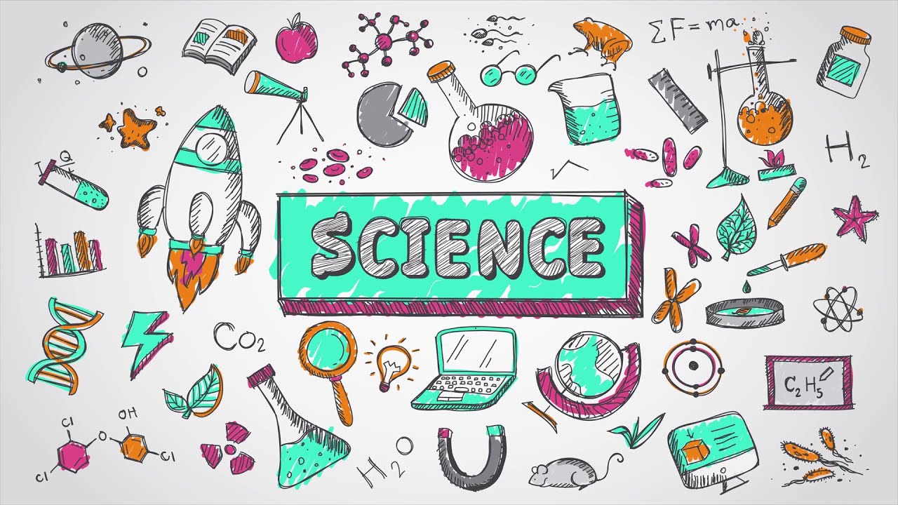 Form 2 Science Chapter 3: Nutrition (part 2)