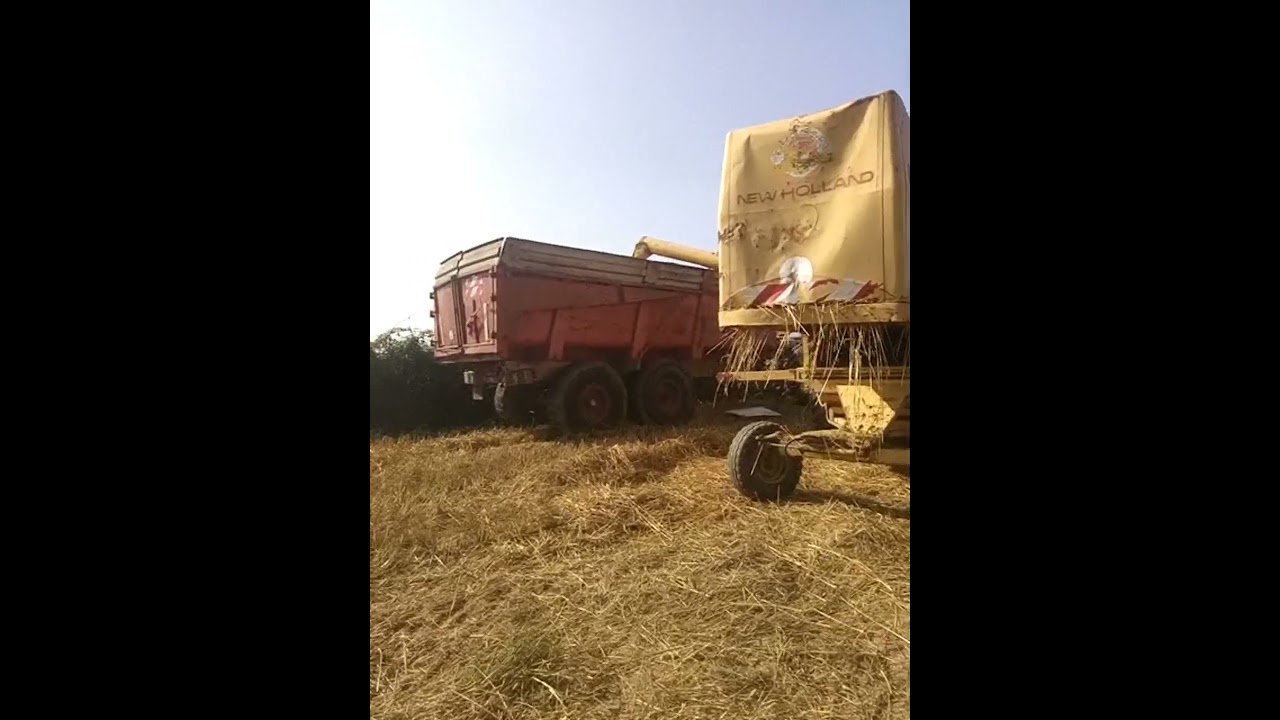 Moisson 2021 New Holland 1530