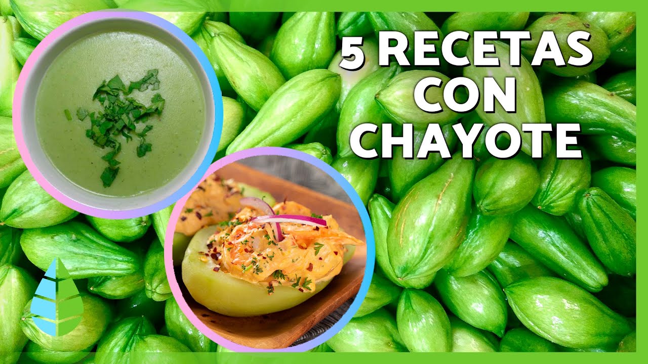 C&oacute;mo PREPARAR el CHAYOTE 🍐 | &iexcl;Aprovecha sus Propiedades Medicinales!
