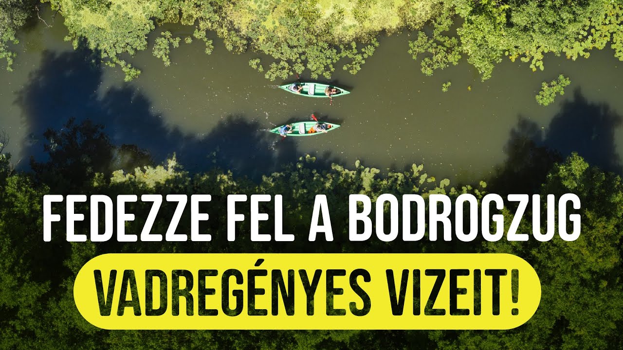 Fedezze fel a Bodrogzug vadregényes vizeit!