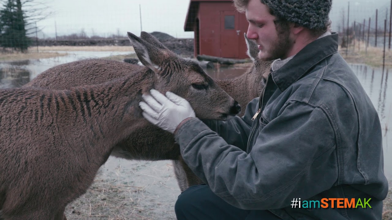 #iamSTEMak - The Wildlife Advocate
