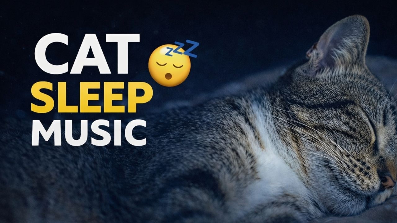 Music for Cats – Deep Sleep, Relaxation, Stress Relief