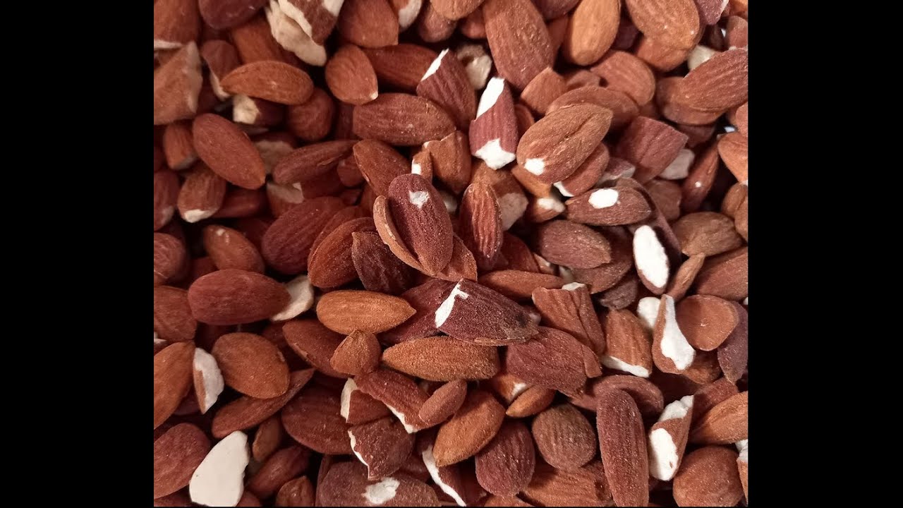 Growing almonds in Spain