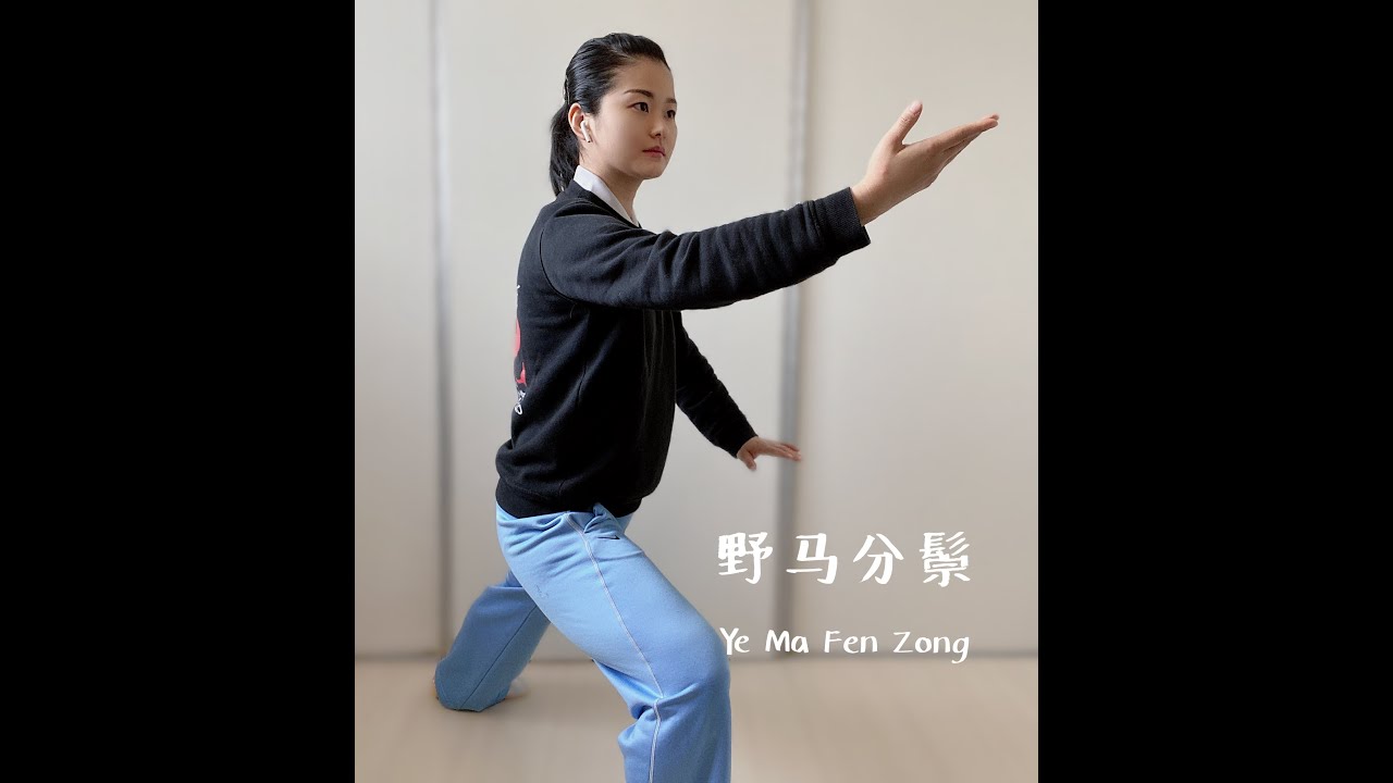 Wushu Kung Fu en casa dia 61 Apartar la Crin del Caballo Salvaje 野马分鬃 YeMaFenZong