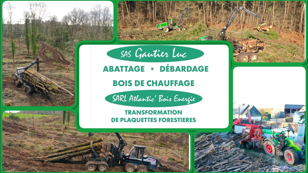 Une Journée en Forestier🌲🌳 chez SAS Gautier Luc🪵 / 2x JOHN DEERE 🦌/ FENDT 1050 / 2x Logset