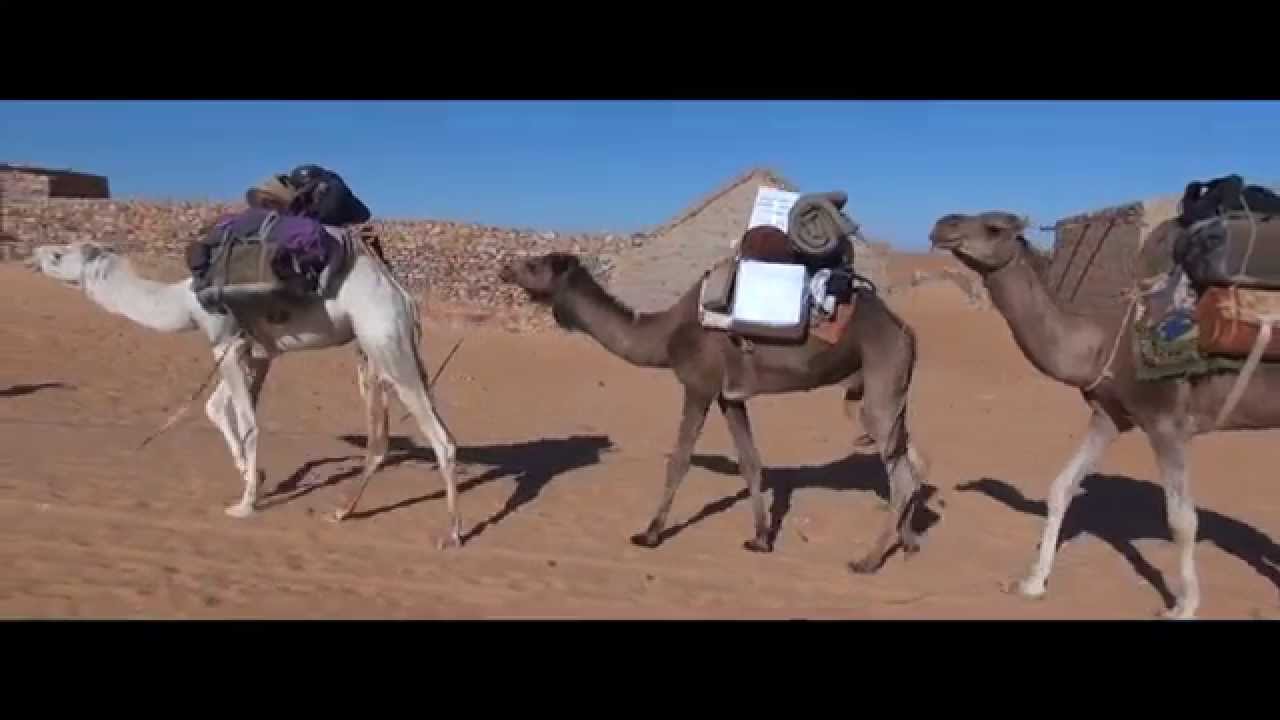 MAURITANIE | Trek saharien dans l'Adrar