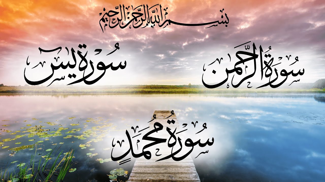 Surah Rahman | Surah Yaseen | Surah Muhammad | Full Beautiful Quran Recitation | Peace & Healing
