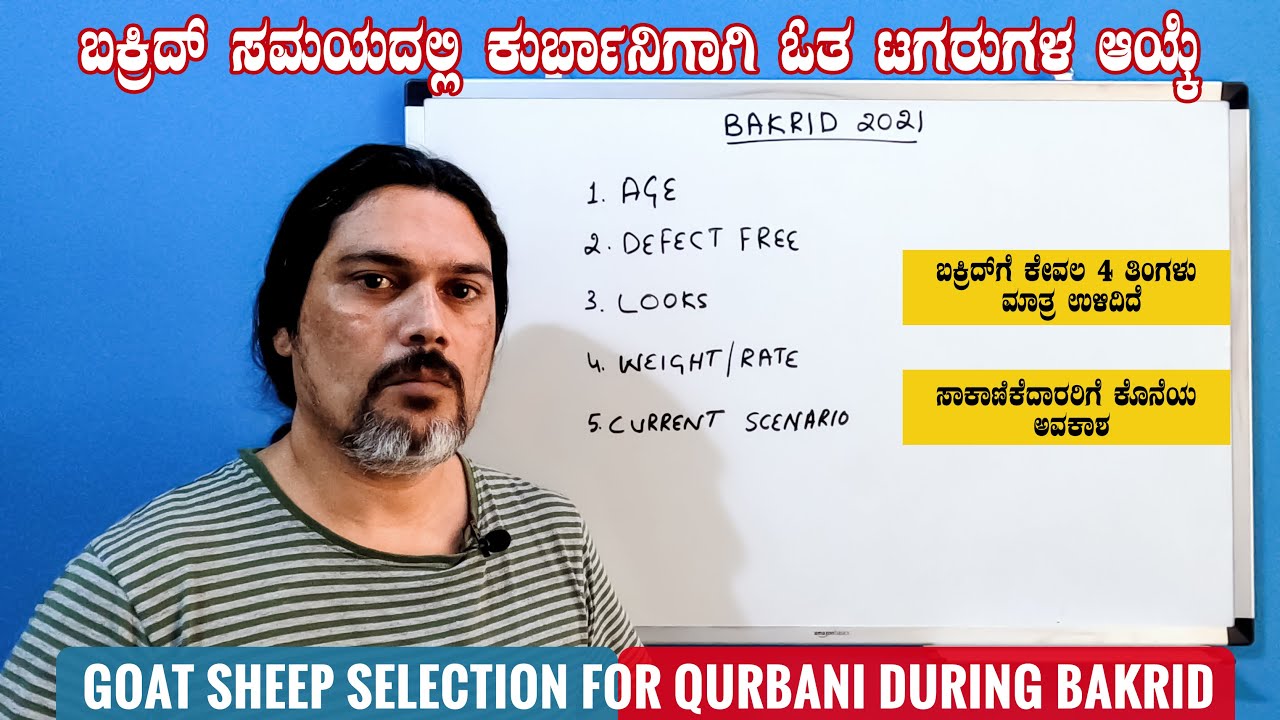 Farmers must Know How Goat Sheep are Selected for Bakrid Qurbani so that they get maximum Sales