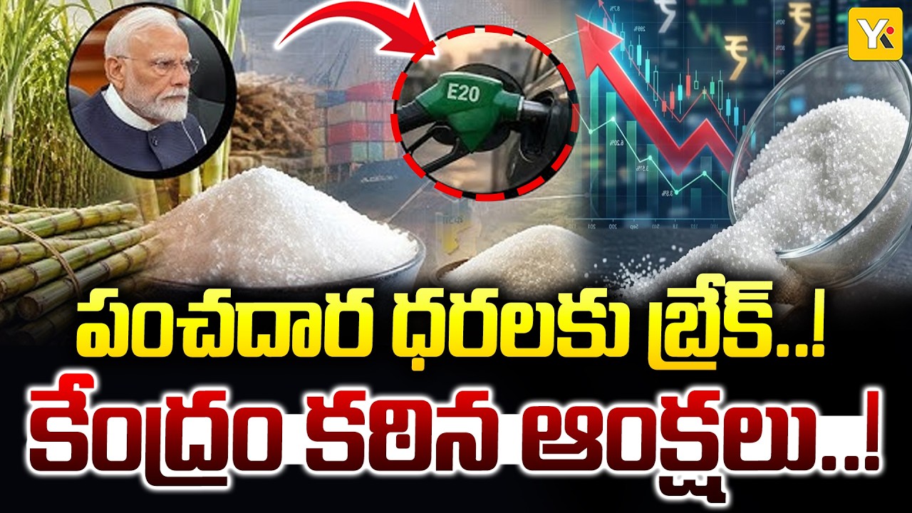 Centre Imposes Sugar Stock Limits Ahead of Festival Season | New Rules from September 1 | YKTV