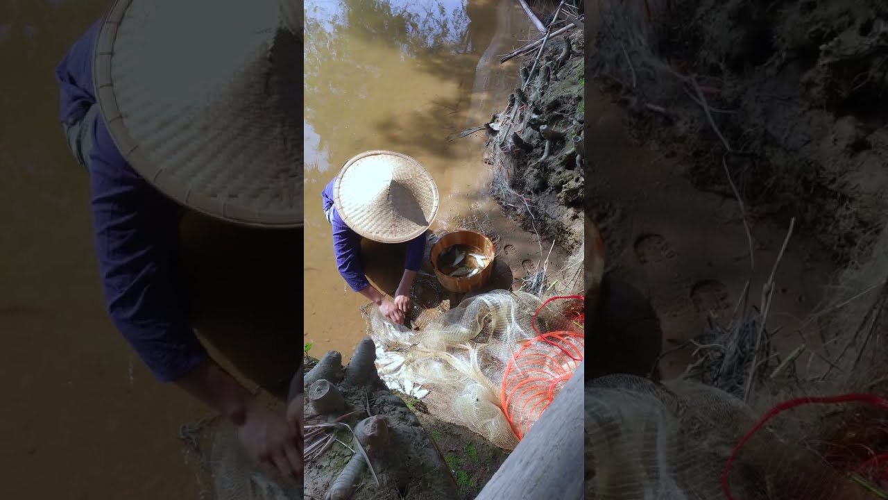 My rural life - fishing