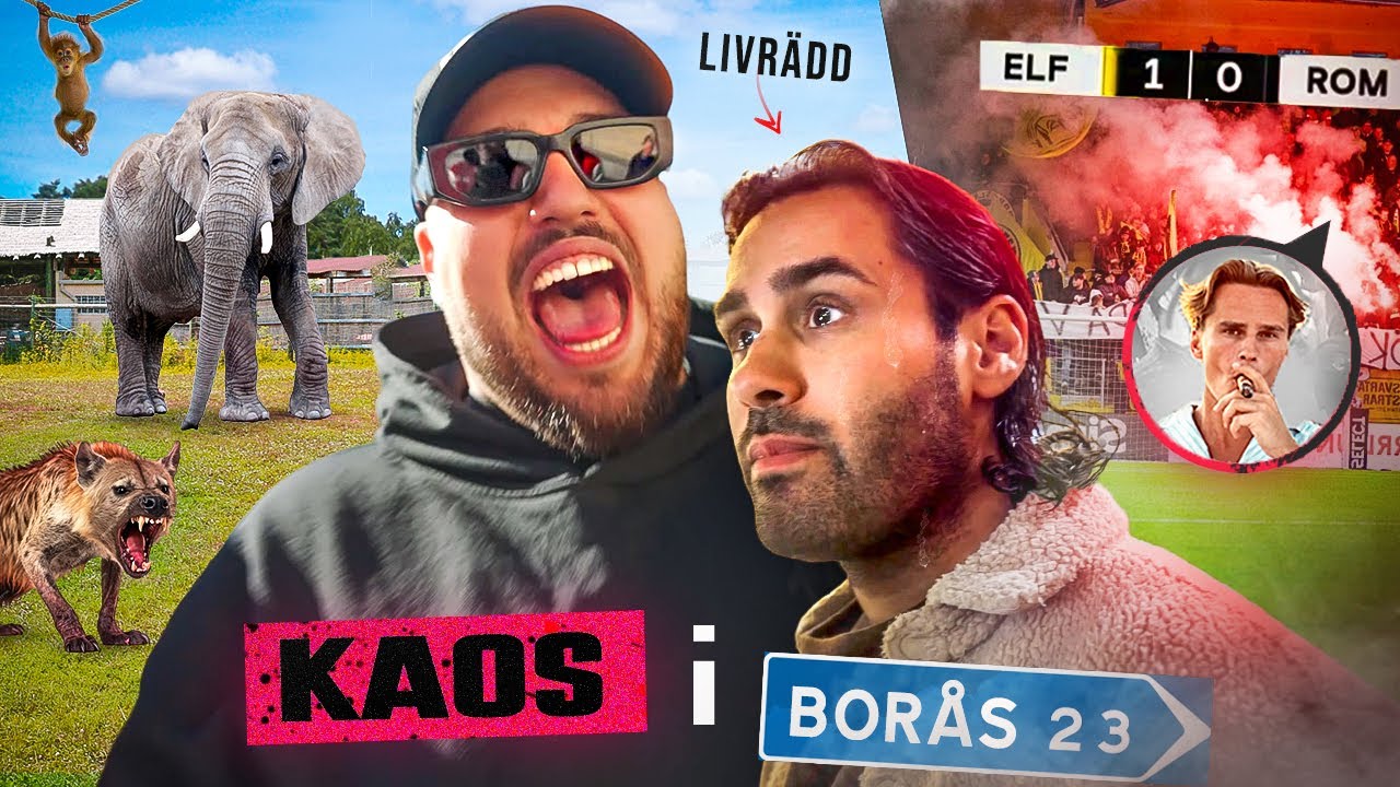 BOR&Aring;S &Auml;R EN CIRKUS!!! *SVERIGES OHIO*