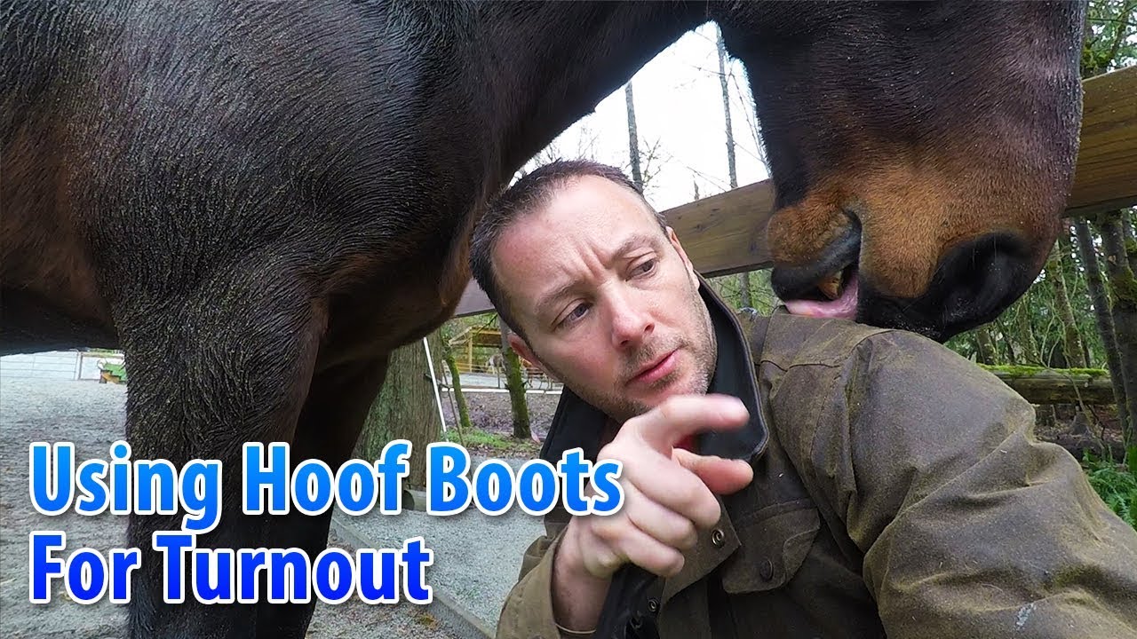 Using Hoof Boots for Turnout
