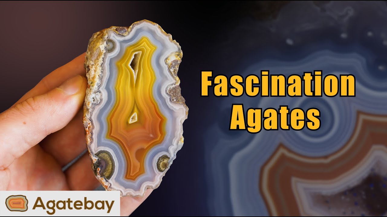 What makes collecting agates fascinating?!😁 Agates explained by Josh | 4K