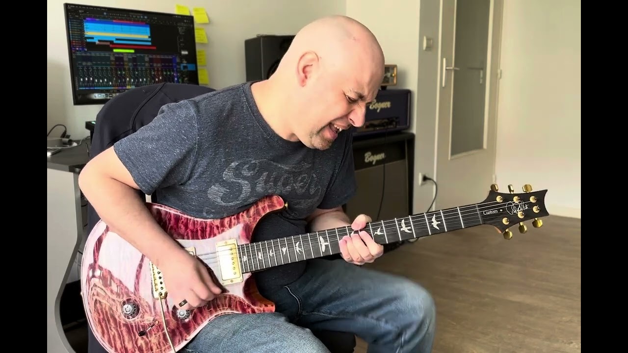 PRS custom 24 artist package