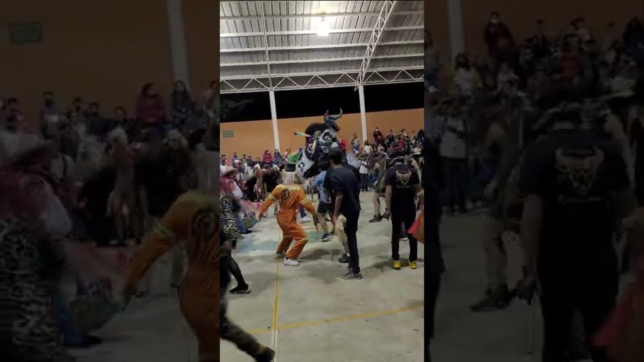 Toro de Carnaval Col. Ibarra Pátzcuaro 2022 (luciendonos en la Revo)
