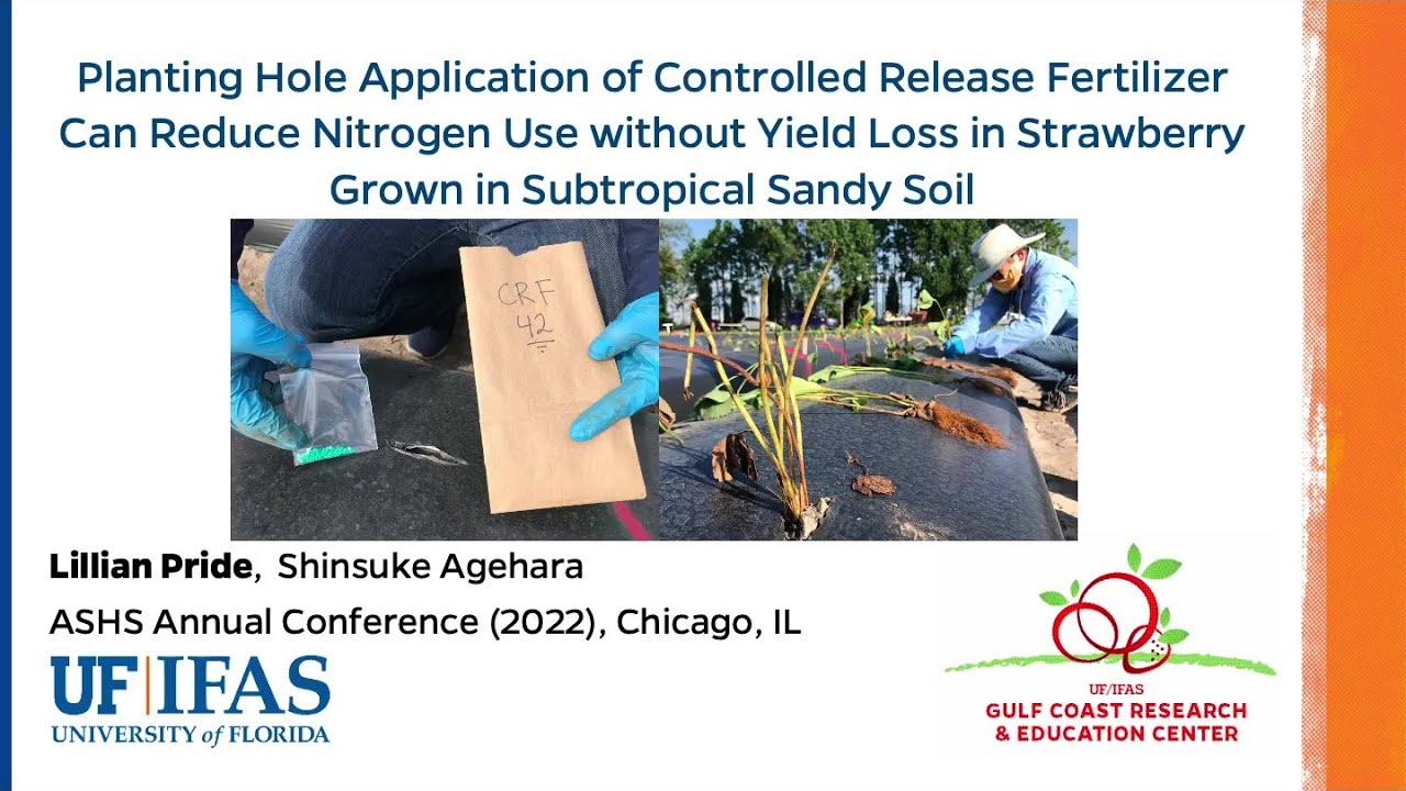 Localized Application of Controlled-release Fertilizer for Strawberry | 2022 ASHS Presentation