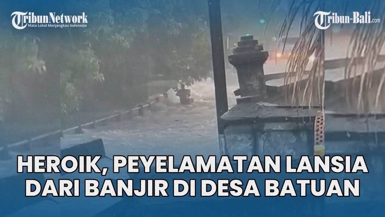 Viral, Heroik Penyelamatan Seorang Lansia dari Banjir Besar di Desa Batuan Gianyar Bali