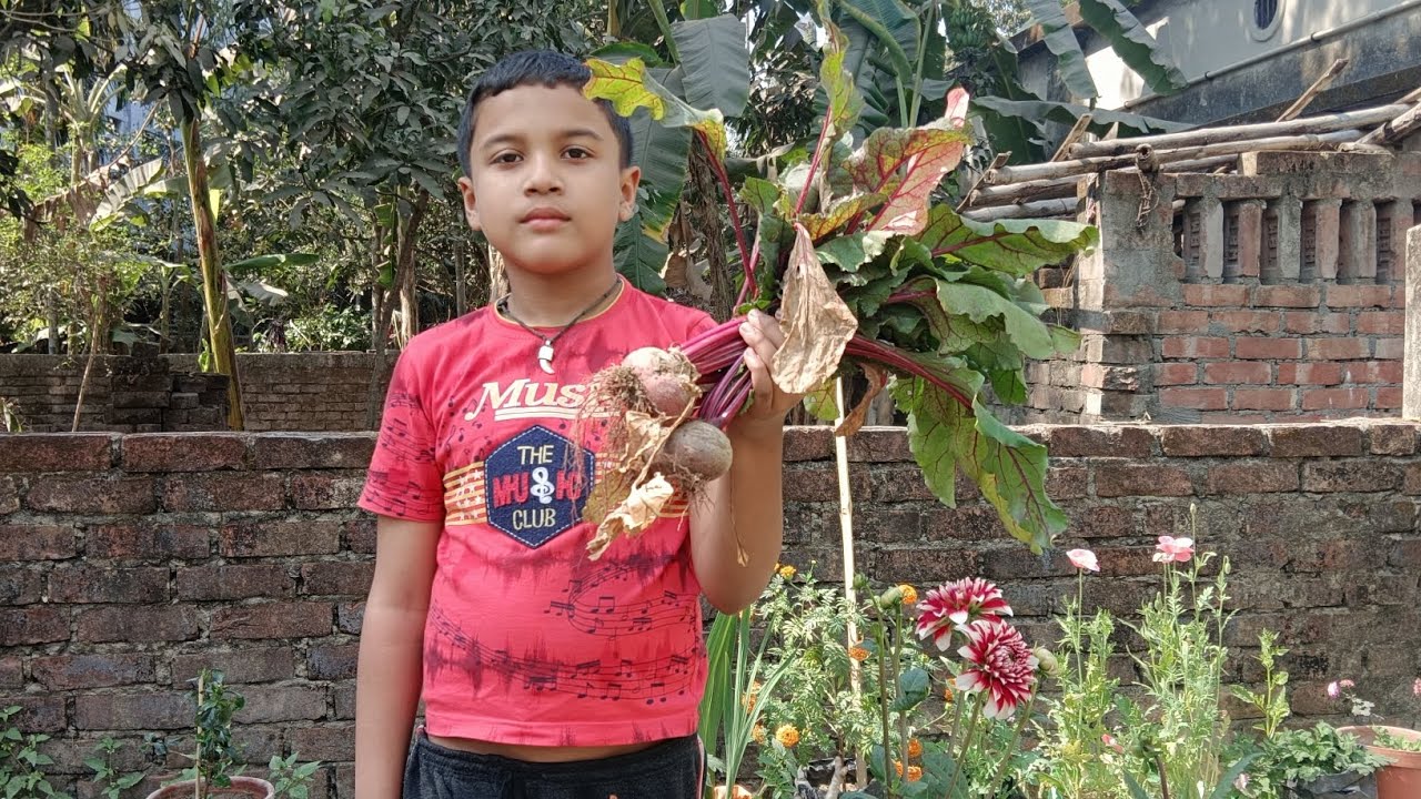 বাগানের কিছু পড়ে থাকা কাজগুলো সেরে নিলাম #gachpagolpran #gardening #lifeisbutadream 