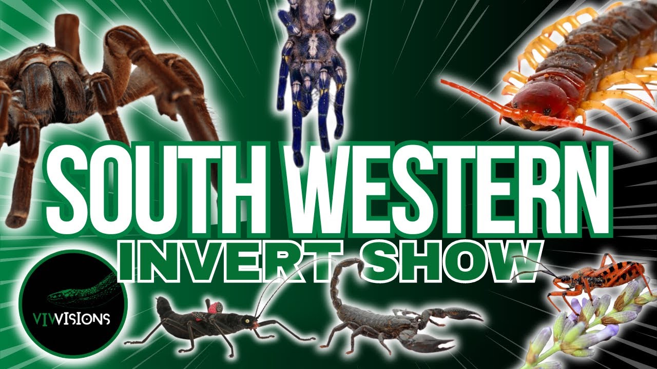 Southwestern Invert Show 2024 | What Did I Buy?