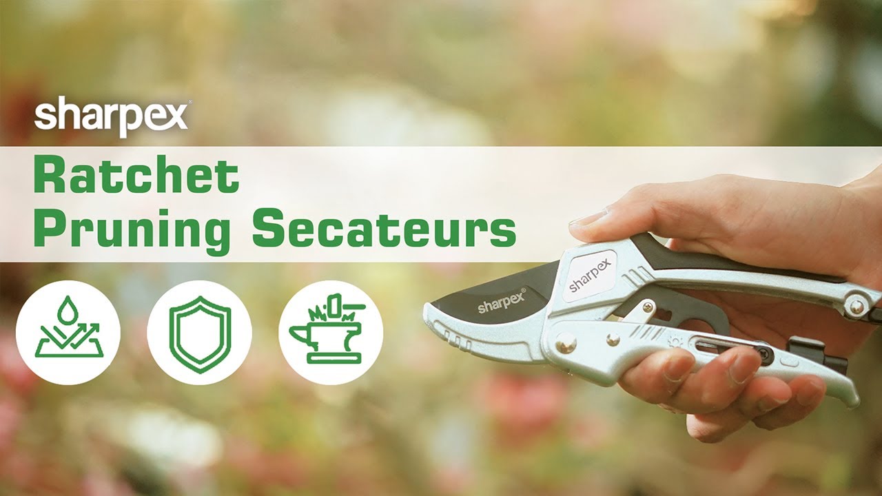 Sharpex  Heavy Duty Anvil Silver Hand Pruner with Ratcheting Mechanism