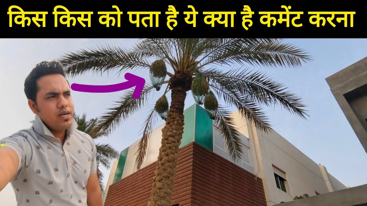 उत्तराखंडी लड़का  || 🇰🇼 Kuwait Lifestyle || यहां पर कोई नहीं है साथ में जाने के लिए