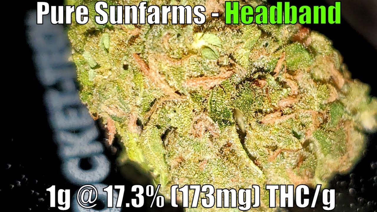 Pure Sunfarms - Headband Unboxing Review - 1G @ 17.3% THC (+Extreme Closeups)