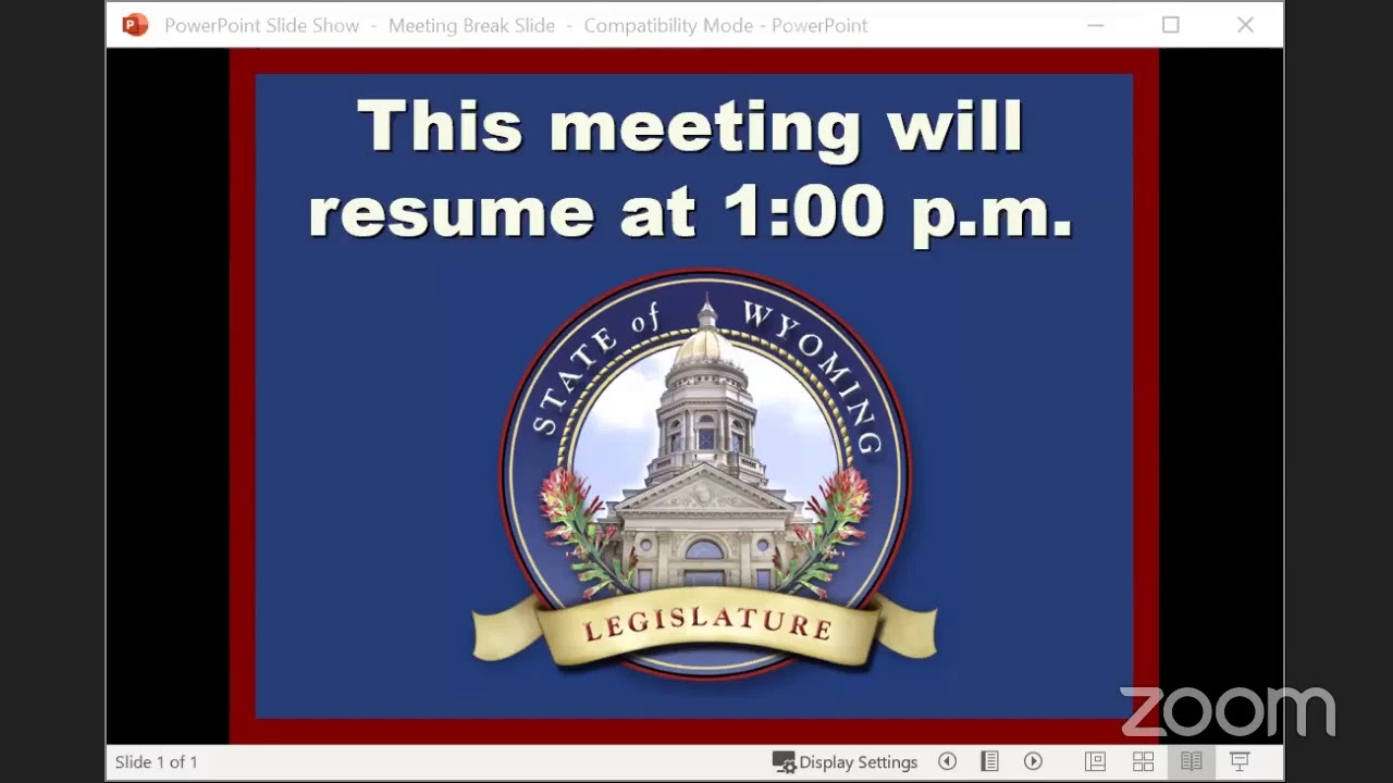 Joint Minerals, Business & Economic Development Committee June 1, 2020 Meeting AM