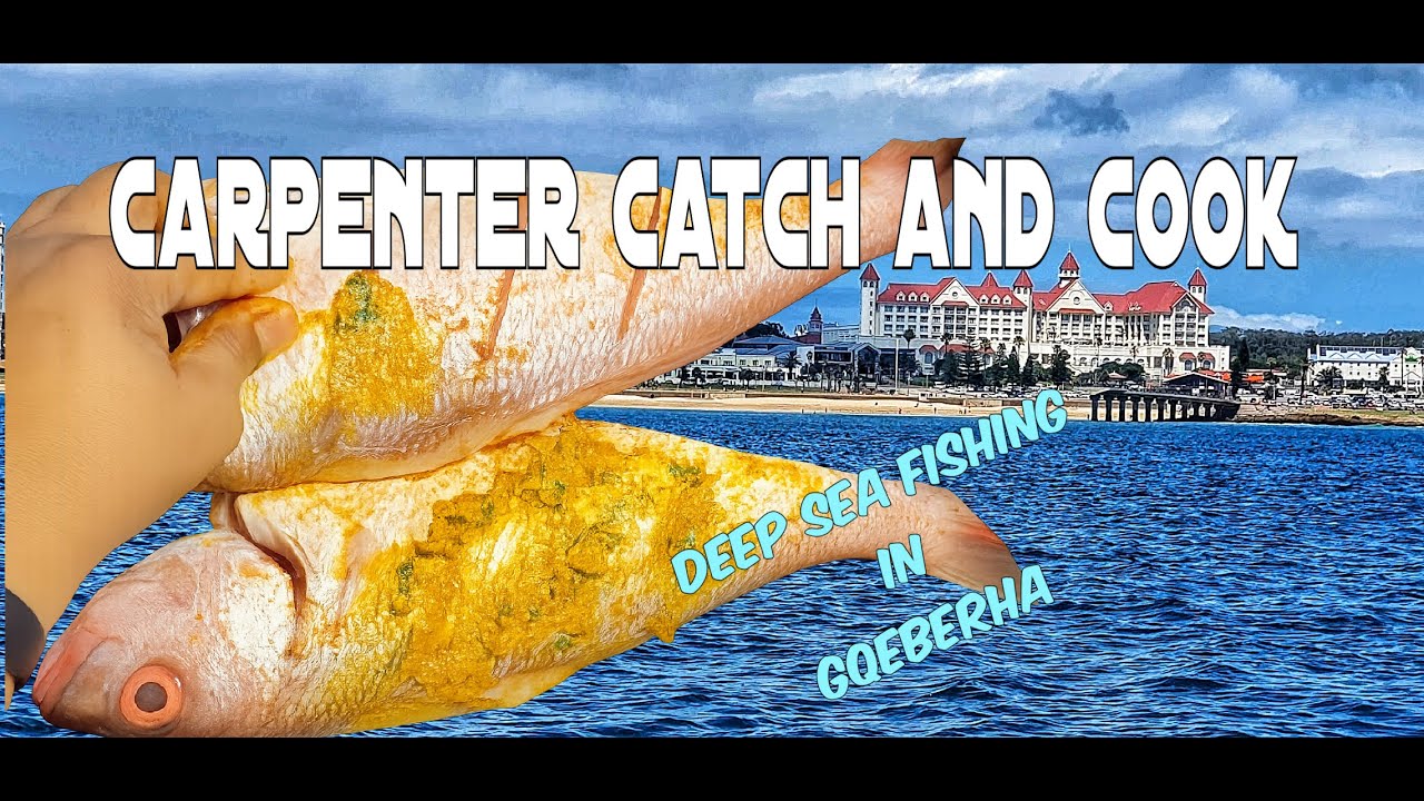 Carpenter Fish Catch and Cook - Deep Sea Fishing Port Elizabeth