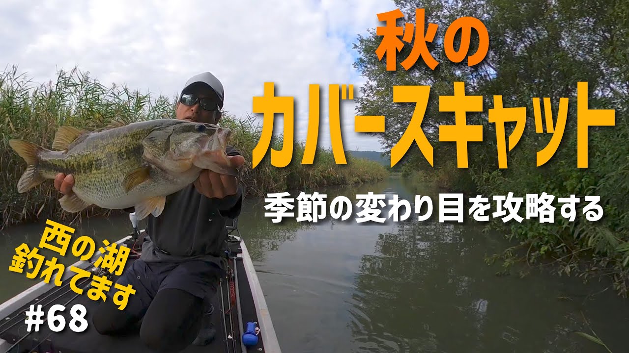 秋のカバースキャット攻略『西の湖』は夏なのか？秋なのか？とにかく釣れてます！