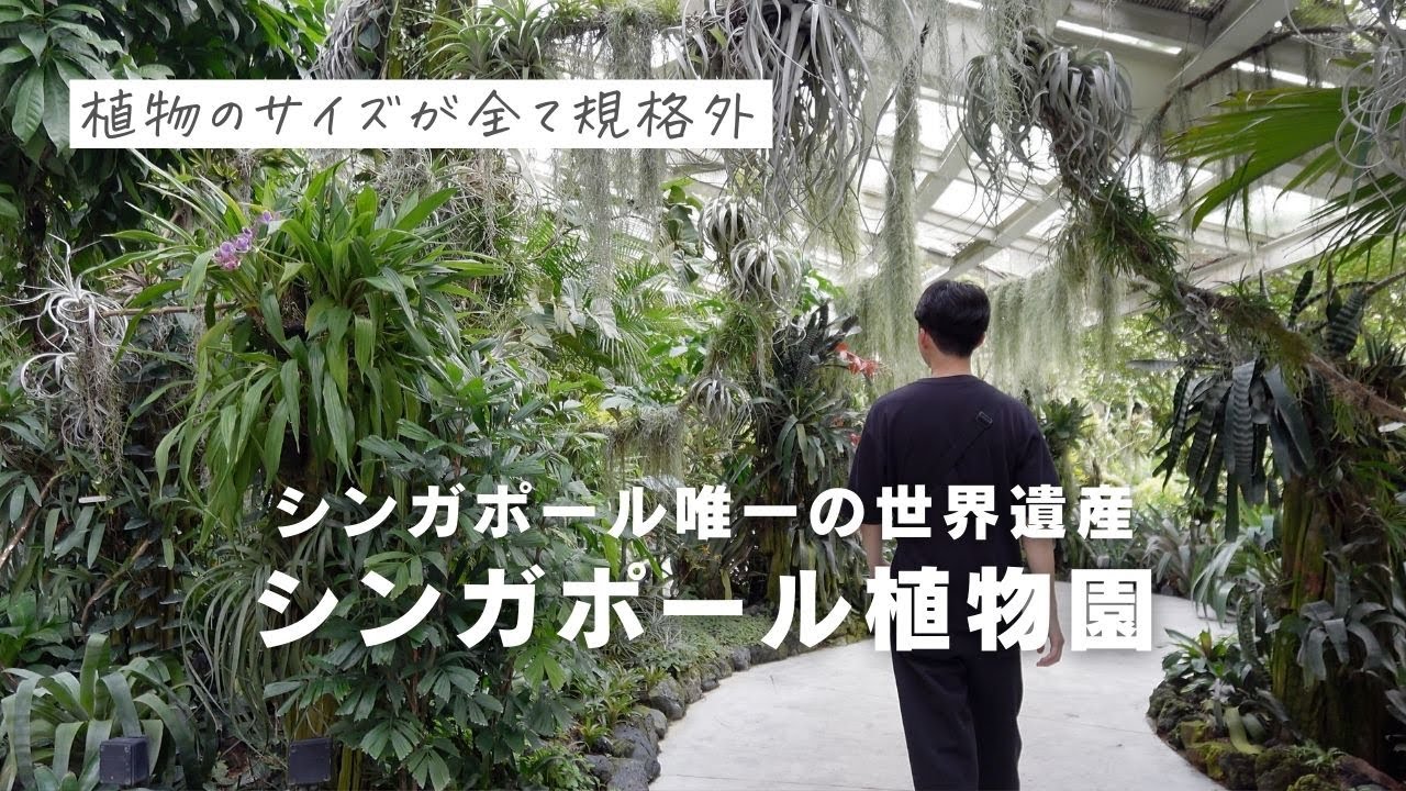 【植物の楽園】シンガポール植物園が植物好きの天国だった