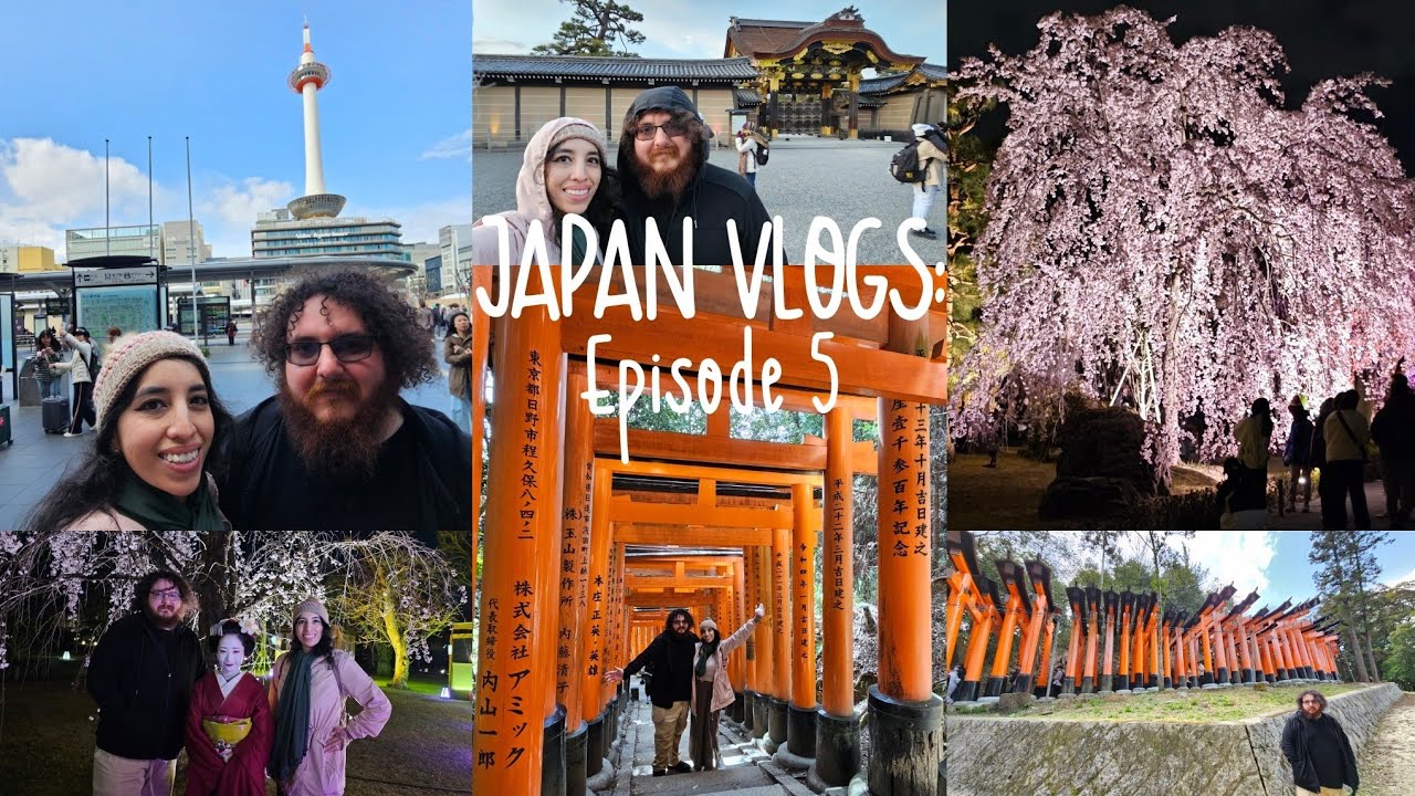 Japan Vlogs: Episode 5 | Travel to Kyoto, Fushimi Inari Taisha, & Nijo Castle Sakura Festival