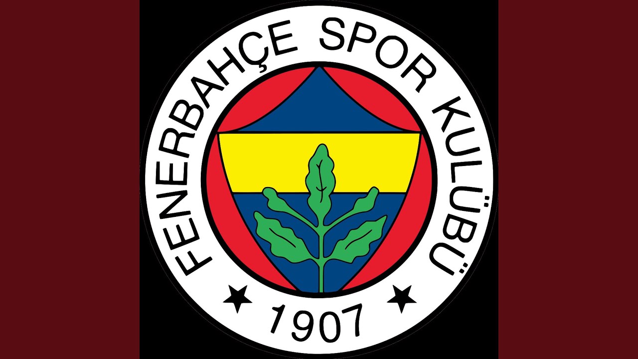 Sadece Fenerbah&ccedil;e