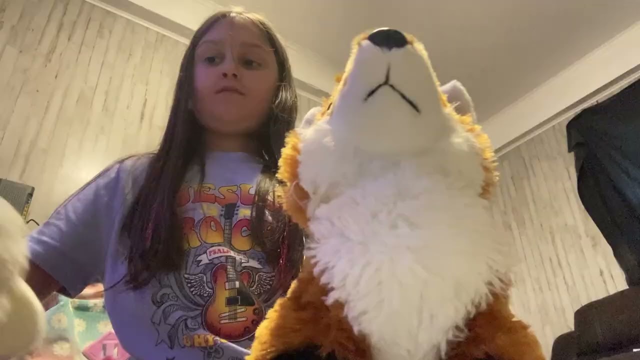 Zoo dance video ￼