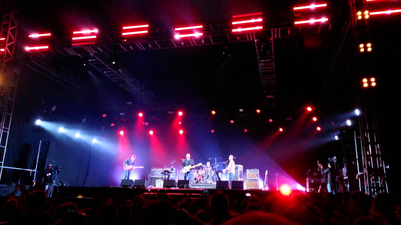 Wild Beasts 