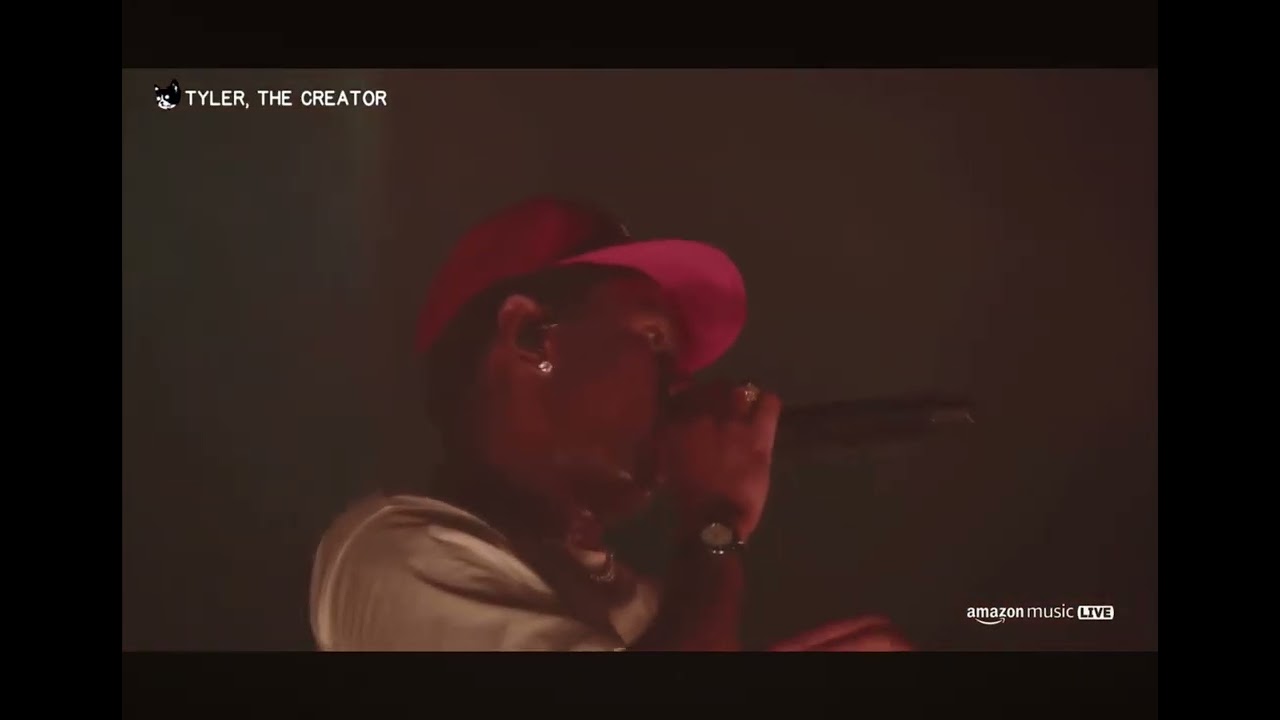 SORRY NOT SORRY - Tyler the creator ( live from camp flog gnaw)