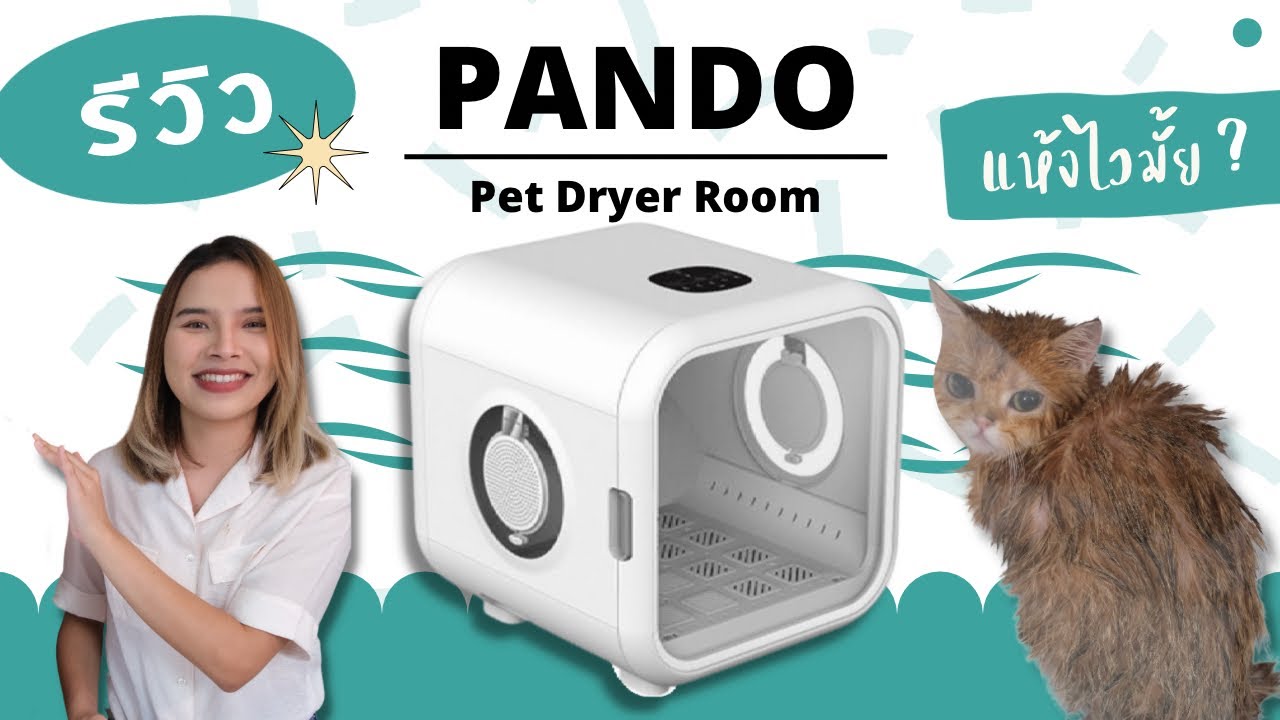 [Review] ตู้เป่าขนแมว Pando ใช้จริงทุกโหมด ลมแรงแค่ไหน เสียงดังมั้ย ดูก่อนตัดสินใจซื้อ !