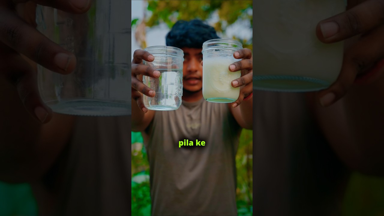 Lassi vs water #fertilizer