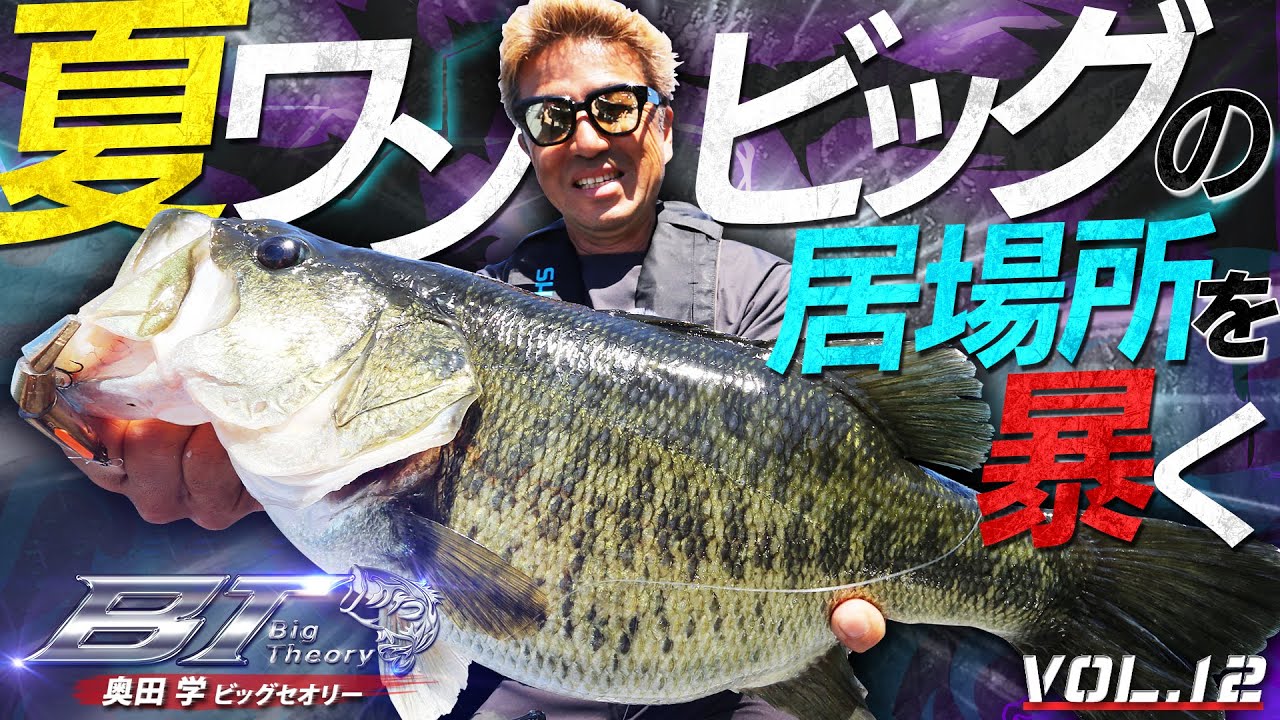 「夏ワンビッグの居場所を暴く!!」【Vish 奥田学ビッグセオリーvol.12】