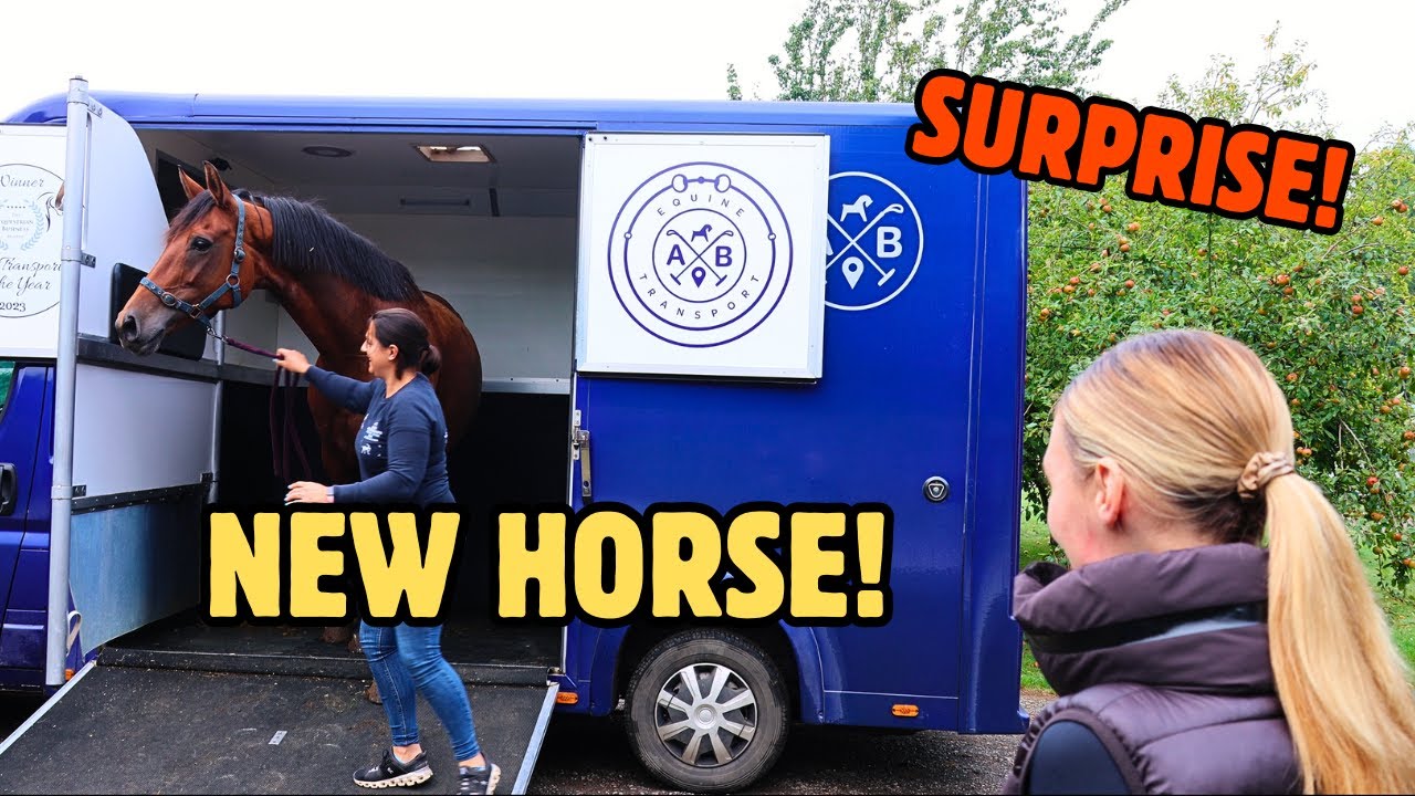SURPRISING MY FIANCE WITH A HORSE FOR HER BIRTHDAY!
