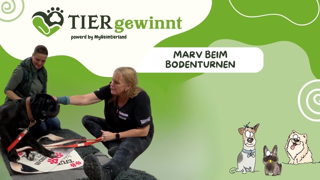 (Folge 110) – Marv beim Bodenturnen 🐶🤸‍♂️