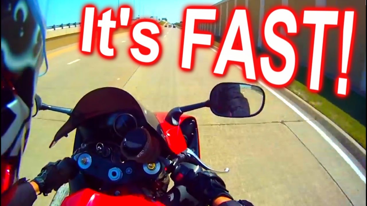 TheGardenSnake on a SportBike