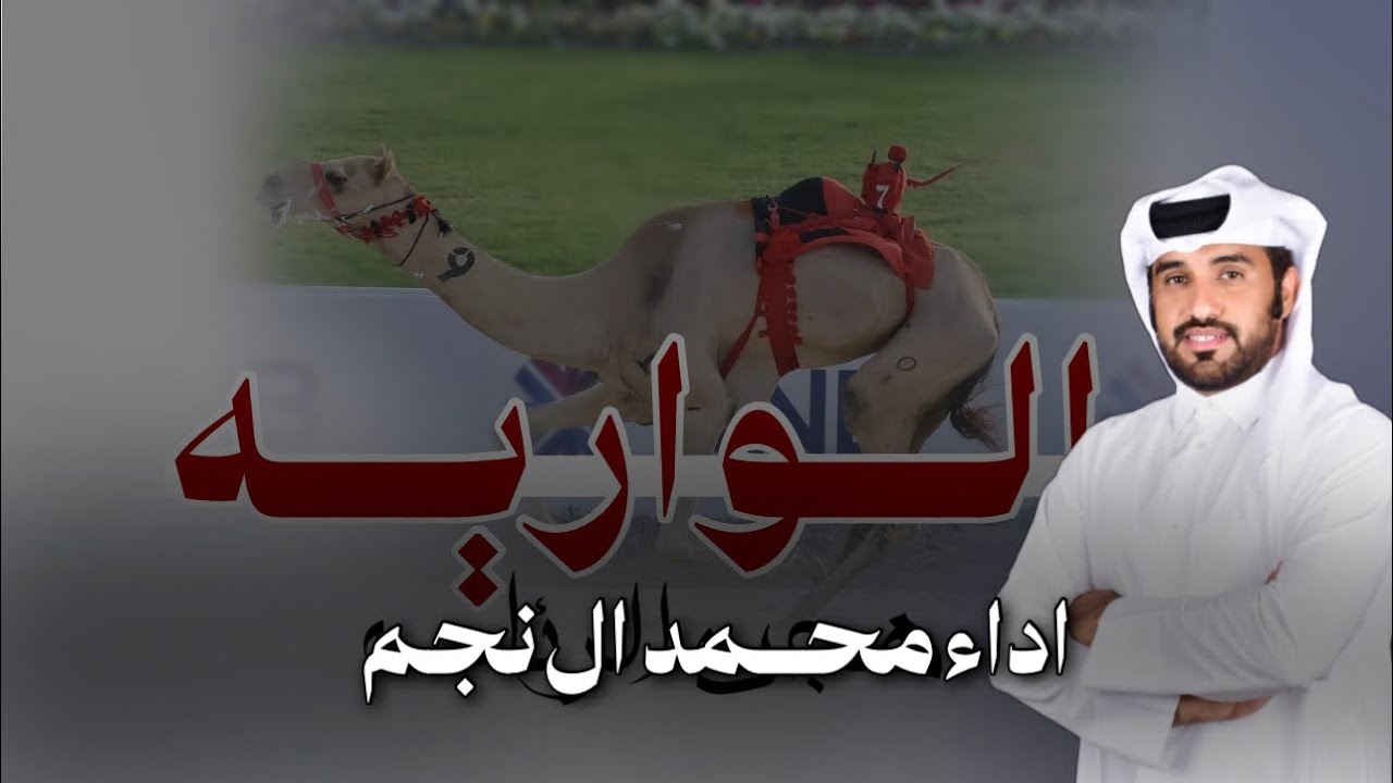 جديد || هــجن الرئاسة || كلمات سعيد بن مصلح الاحبابي || ⚜️اداء محــمد ال نجم ⚜️